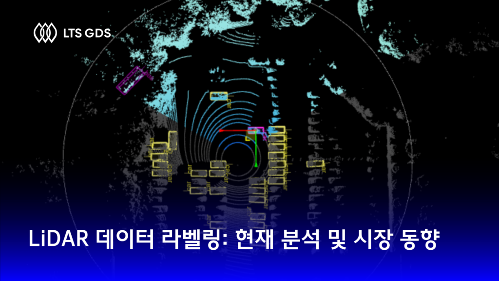 LiDAR 데이터 라벨링: 현재 분석 및 시장 동향