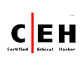 course-logo-small-CEH-300x250-1 1