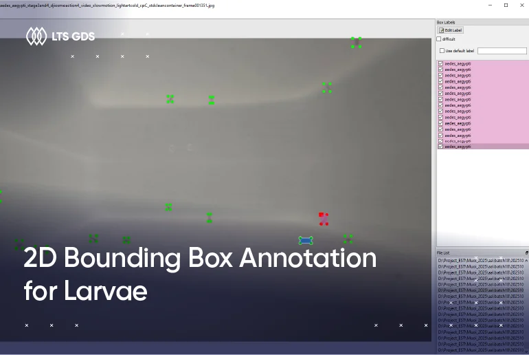 2D Bounding Box Annotation for Larvae